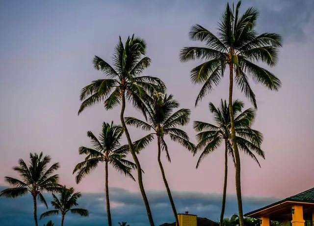 Отель The Ritz-Carlton Maui, Kapalua Лахайна Экстерьер фото